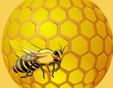 Bee with honeycomb clipart