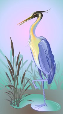 Heron with reed and water clipart