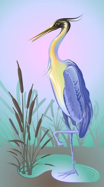 Heron with reed and water — Stock Vector