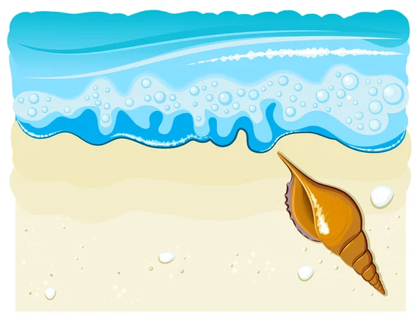 Морская раковина на пляже с волной и песком — стоковый вектор