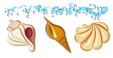 Collection of sea shell on the beach with wave clipart