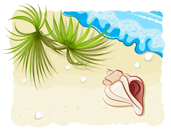 Snäckskal med palmblad och havsvåg — Stock vektor