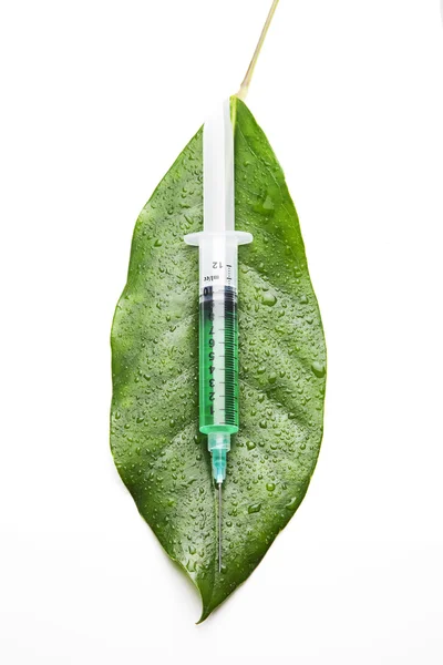 Syringe on a leaf — Stock Photo, Image