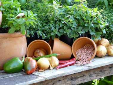 Gardener's harvest from the Garden clipart