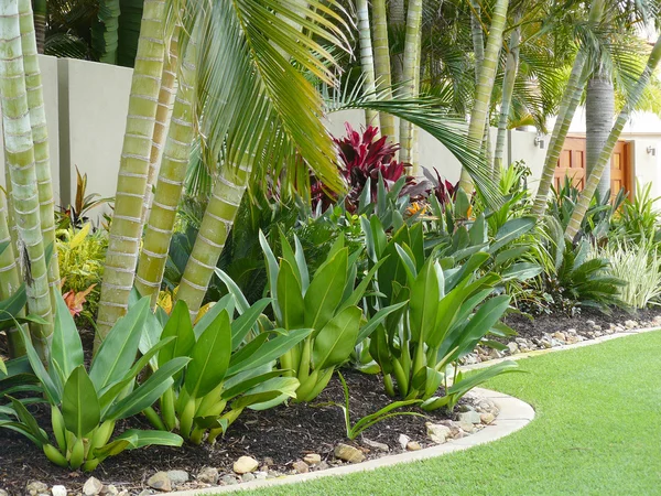 Tropische tuin grens — Stockfoto