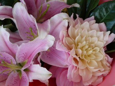 Closeup of Lillies and Chrysanthenum Bouquet clipart