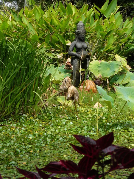 Jardim tropical com estátua — Fotografia de Stock
