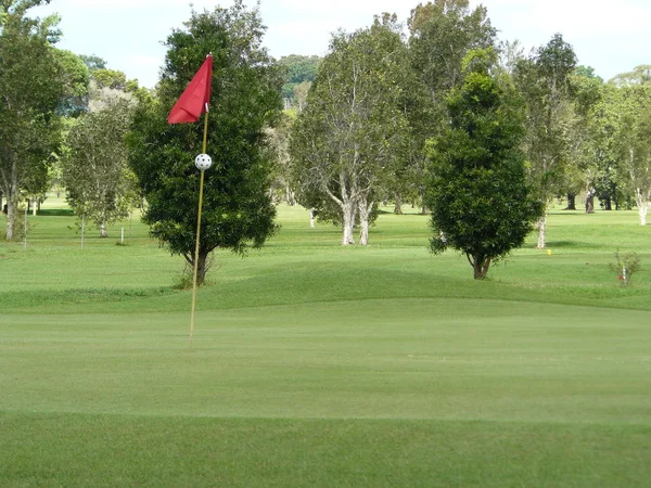 Поле для гольфу зелений — стокове фото