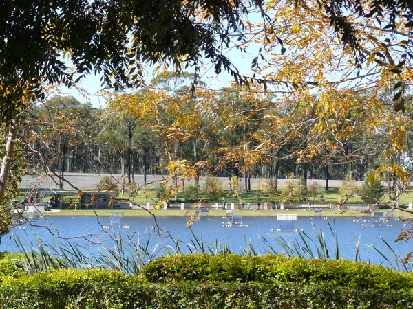 Vista bonita do lago — Fotografia de Stock