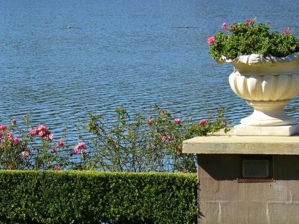 漂亮的花园瓮 — 图库照片