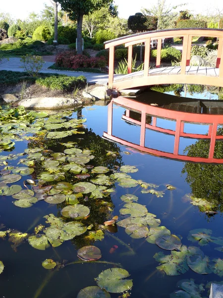 Japanese garden with bridge — Stock Photo, Image