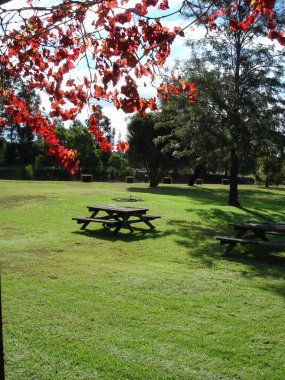 Picnic area in park clipart