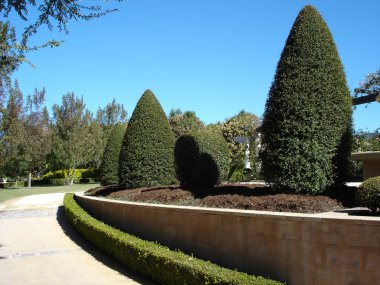 Pathway with formal hedges clipart