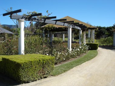 Pathway with formal hedges and arbor clipart