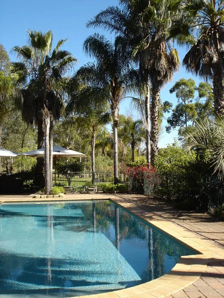 Zwembad met palmbomen — Stockfoto