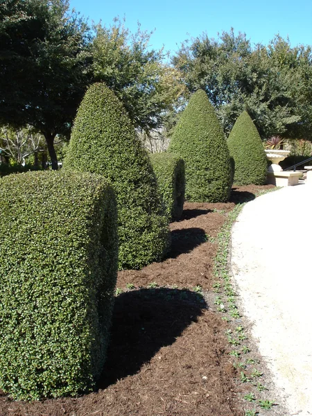 Pathway with formal hedges — Stock Photo, Image