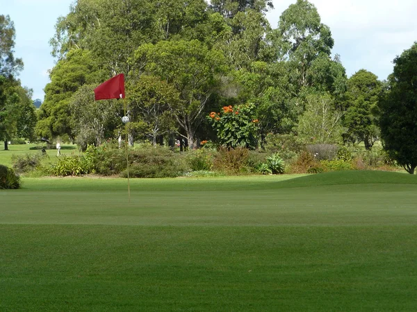 Campo de golf verde — Foto de Stock