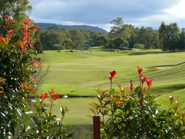 查看对高尔夫球场utsikt över golfbana — Stockfoto