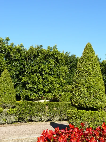 Topiary och häckar — Stockfoto