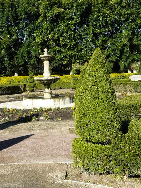 Topiary y setos —  Fotos de Stock