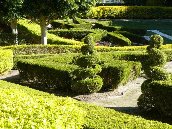 Topiary en afdekkingen — Stockfoto