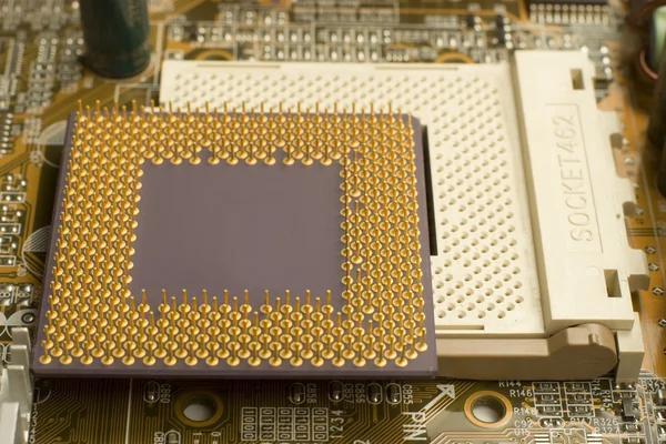 Microprocesseur sur prise Photo De Stock