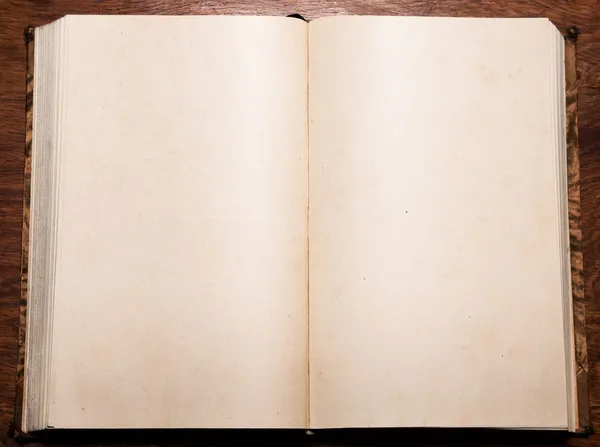 Vecchio libro vuoto — Foto Stock
