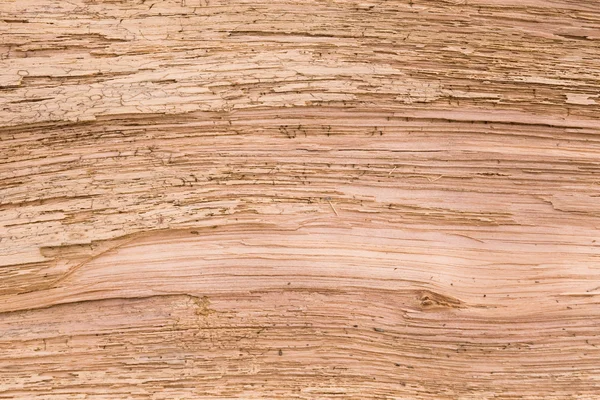 Textura de árbol agrietado —  Fotos de Stock