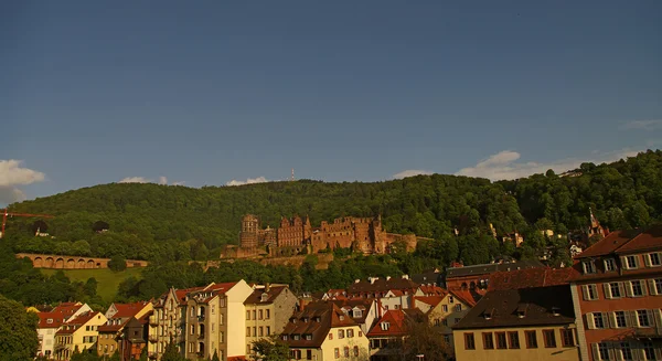 Heidelberger schloss, kale, yaz 2010 — Stok fotoğraf