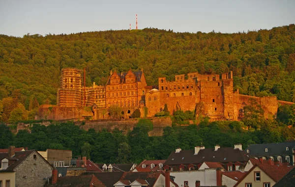 Heidelberger schloss, kasteel, de zomer van 2010 — Stockfoto