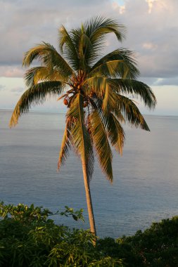 Seychelles panorama clipart