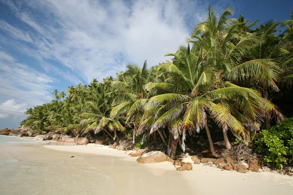 Seychellerna beach Royaltyfria Stockbilder