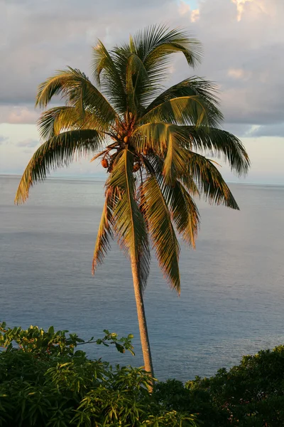 Panorama des Seychelles Images De Stock Libres De Droits