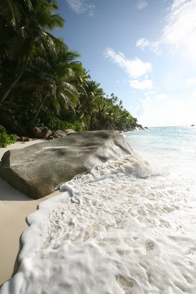 Seychelles beach — Stock Photo, Image