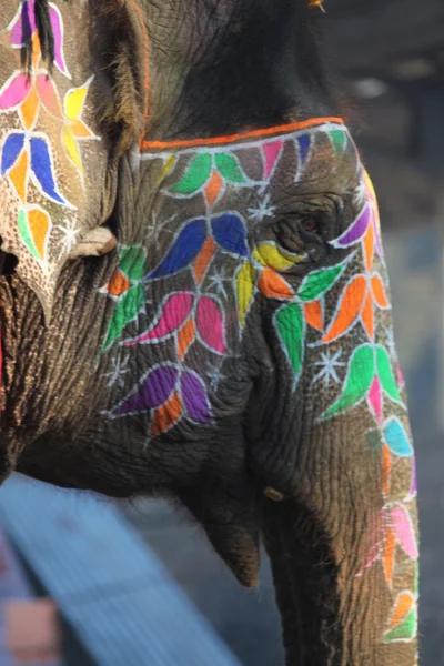 Elefante pintado — Fotografia de Stock