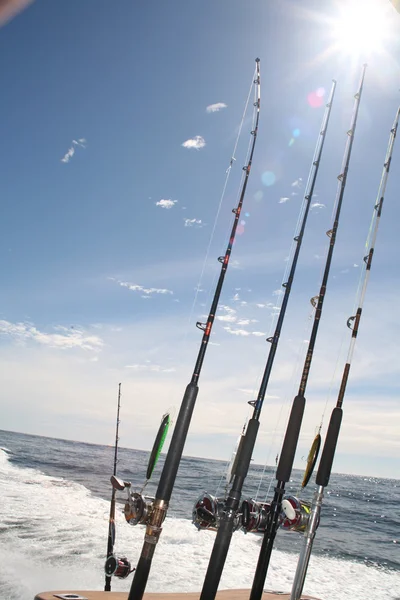 Balıkçılık çubuklar — Stok fotoğraf