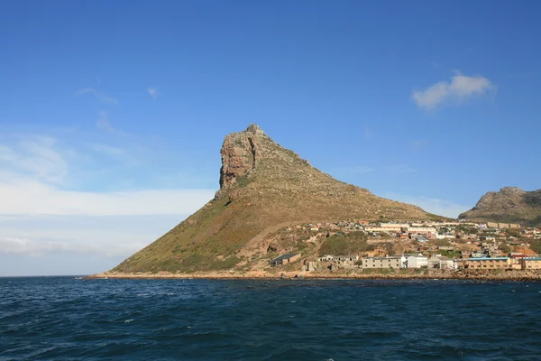 stock image Lion's head mountain