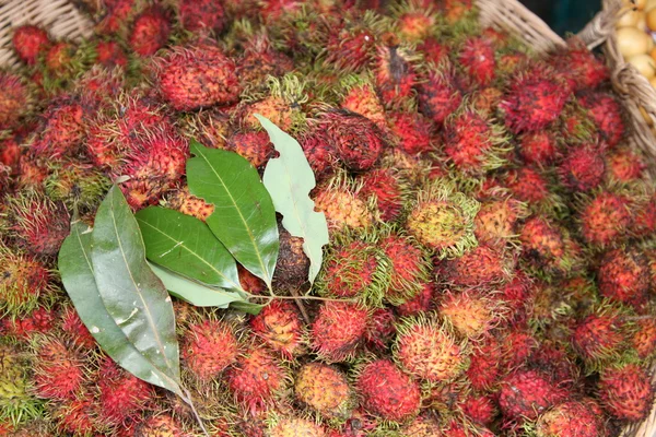 Rambutan meyve