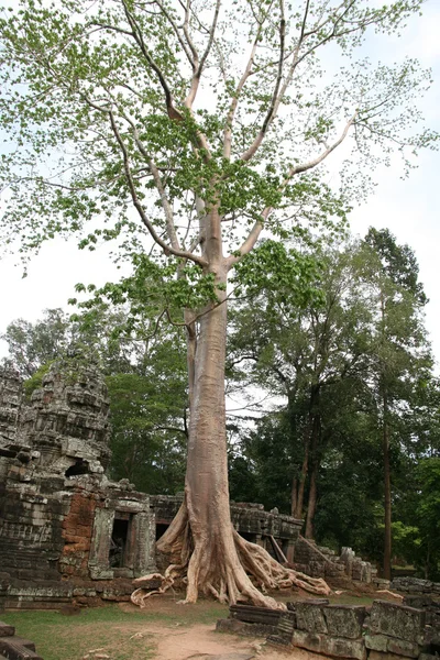 Ruinele templului ansient — Fotografie, imagine de stoc