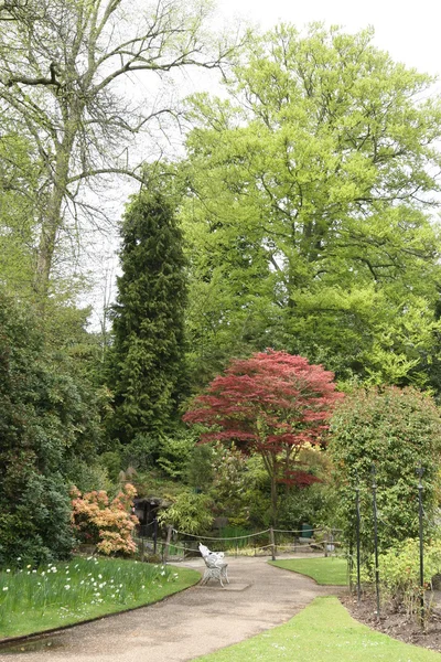 Английский сад — стоковое фото