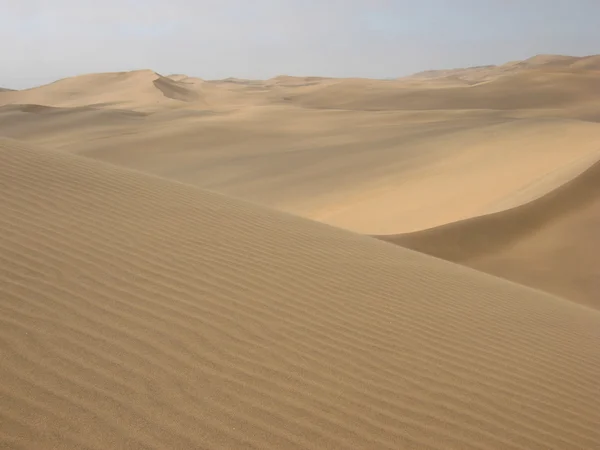 stock image Sand dunes in Namibian desert.