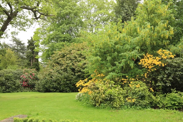 Engelska trädgården Royaltyfria Stockbilder