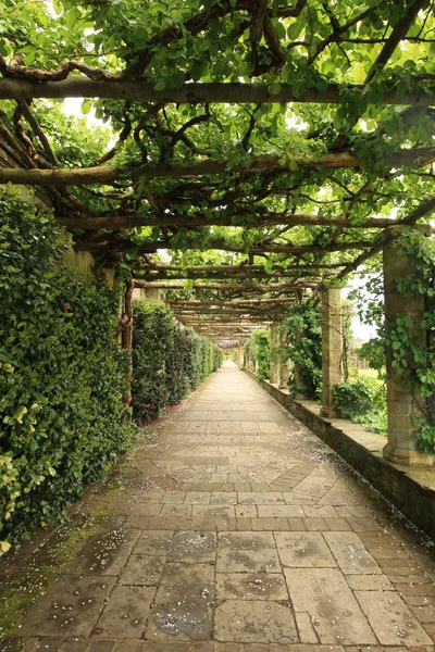 Italienischer Garten Stockbild
