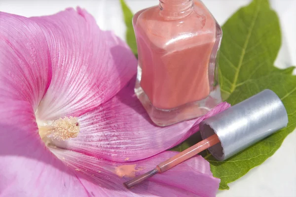 Ροζ βερνίκι νυχιών δοκιμάστε σε ένα λουλούδι — Φωτογραφία Αρχείου