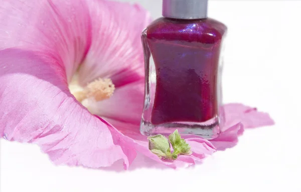 Frasco de esmalte de uñas en una flor rosa con un pétalo verde — Foto de Stock