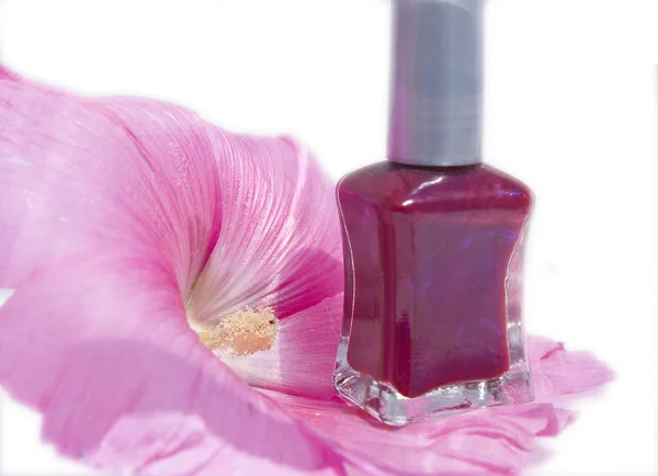 Botella de esmalte de uñas en una flor — Foto de Stock