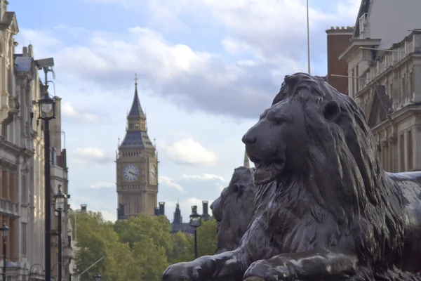 Trafalgar square lejon — Stockfoto
