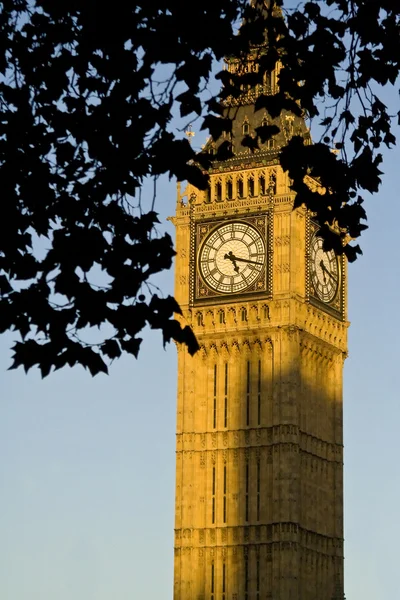 Big Ben sur la lumière du coucher du soleil — Photo