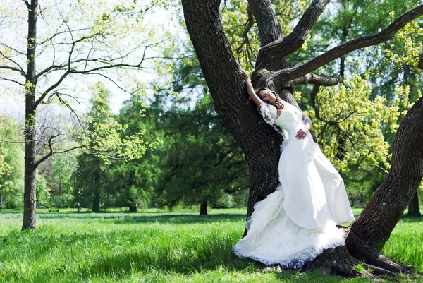 Mooie jonge bruid leunde tegen een boom in het park — Stockfoto