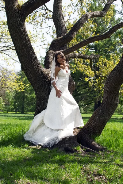 Hermosa joven novia apoyada contra un árbol en el parque —  Fotos de Stock